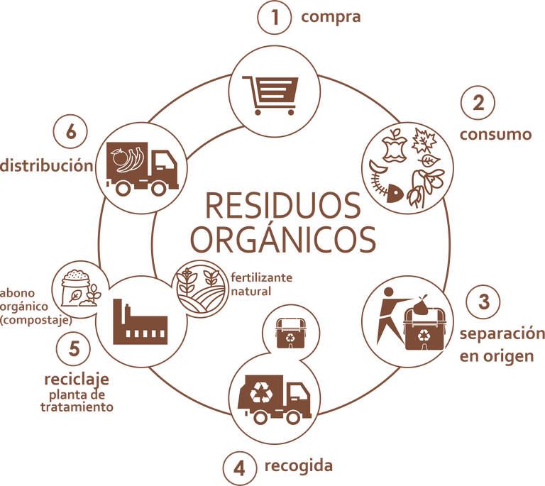 ciclo-organica.png ciclo-organica.png