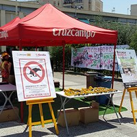 Brigada-medioambiental-3.jpg