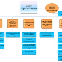 ORGANIGRAMA_05_2016_v5_.jpg