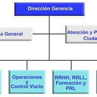 organigrama_sin_nombre2011.jpg