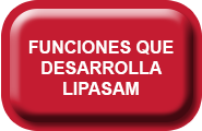 Funciones-que-desarrolla-lipasam.png