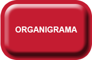 Organigrama.png