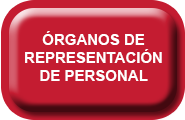 Organos-representacion-personal.png