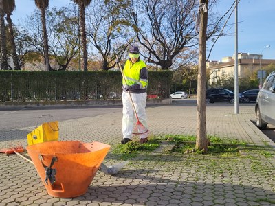 Ayuntamiento de Sevilla pone en marcha un nuevo plan especial de refuerzo para desbroces, retirada de naranjas del suelo y recogida selectiva de residuos con la contratación de 121 trabajadores.