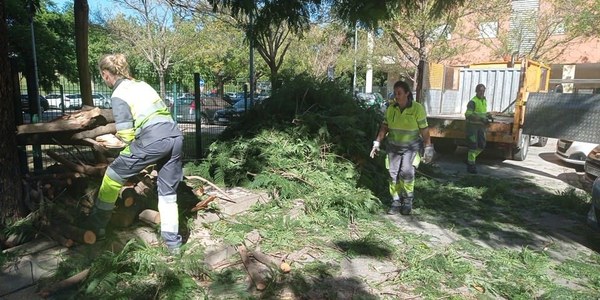 El Ayuntamiento anuncia refuerzos en Lipasam y Parques y Jardines para atender las necesidades extraordinarias de la ciudad tras el paso de la borrasca “Bernard”