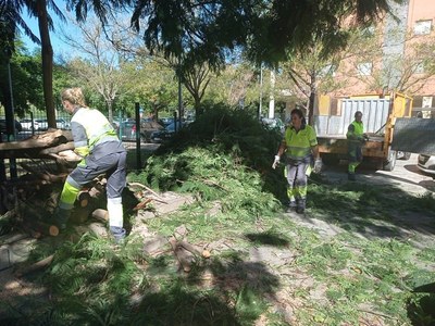 El Ayuntamiento anuncia refuerzos en Lipasam y Parques y Jardines para atender las necesidades extraordinarias de la ciudad tras el paso de la borrasca “Bernard”