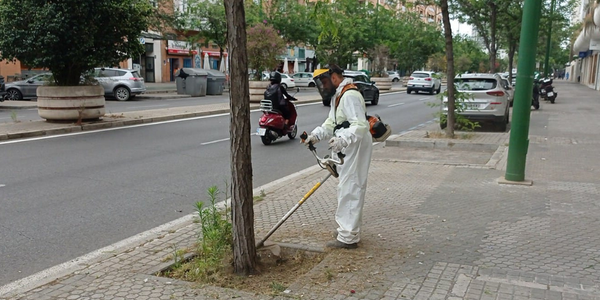 EL AYUNTAMIENTO DE SEVILLA PONE EN MARCHA UN NUEVO PLAN ESPECIAL DE DESBROCES CON 64 CONTRATACIONES DE REFUERZO EN LA PLANTILLA DE LIPASAM