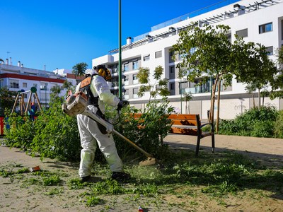 EL AYUNTAMIENTO DE SEVILLA PONE EN MARCHA UN PLAN ESPECIAL DE DESBROCES CON 58 CONTRATACIONES DE REFUERZO EN LA PLANTILLA DE LIPASAM