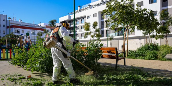 EL AYUNTAMIENTO DE SEVILLA PONE EN MARCHA UN PLAN ESPECIAL DE DESBROCES CON 58 CONTRATACIONES DE REFUERZO EN LA PLANTILLA DE LIPASAM