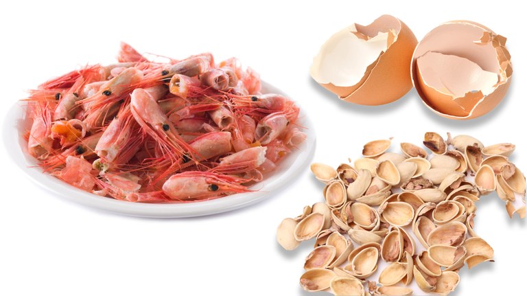 CASCARAS HUEVOS-MARISCO-FRUTOS SECOS.jpg