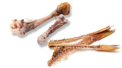 restos de carne y pescado.jpg